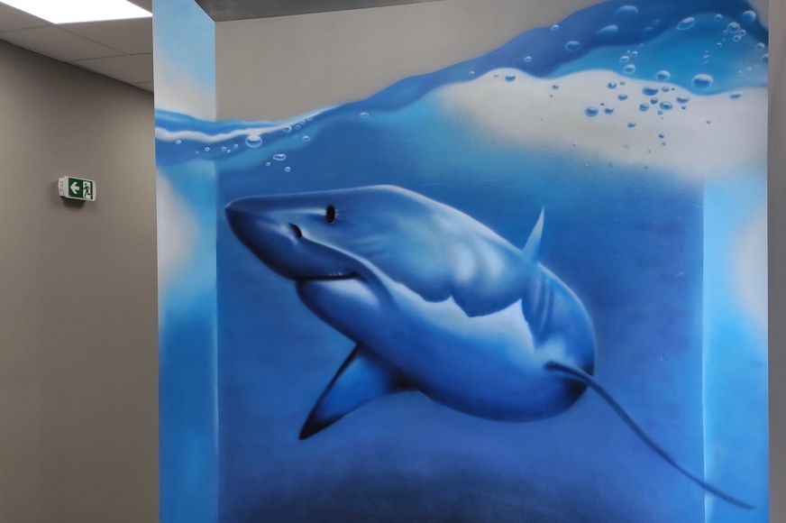 Shark - Interior Graffiti